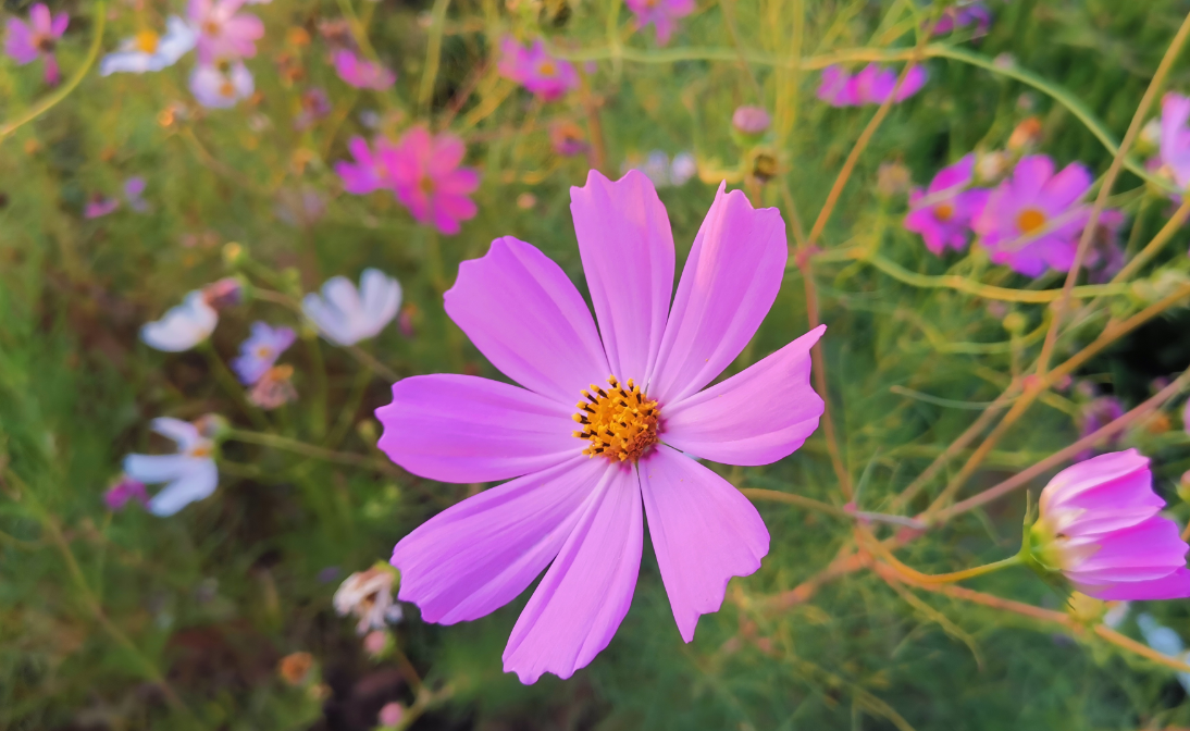 新來的未必是適合你，舊去的或許更懂你：《對著山谷說話一定會有回音》